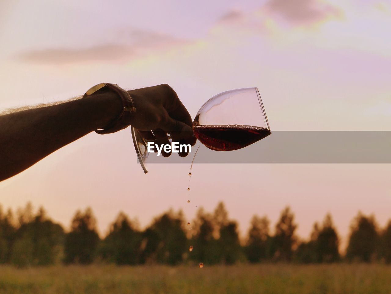 Close-up of hand holding glass of wine during sunset