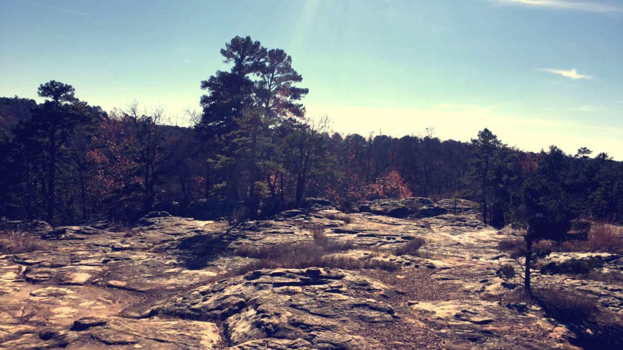 SCENIC VIEW OF ROCK FORMATIONS