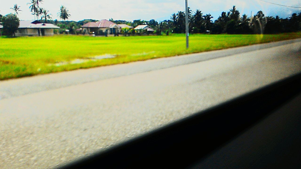 VIEW OF ROAD IN FIELD