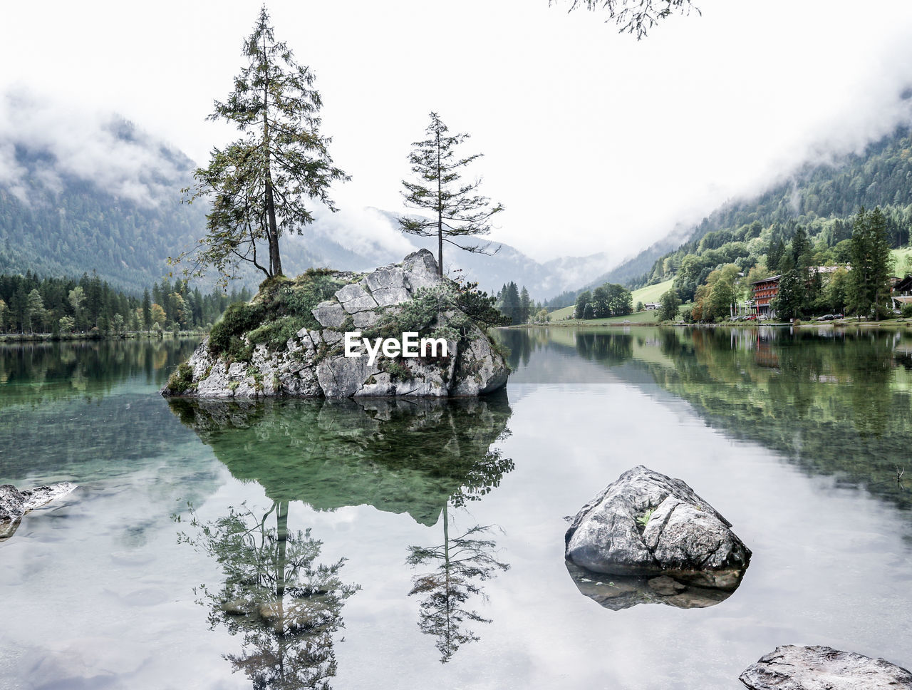 Scenic view of lake by trees against sky