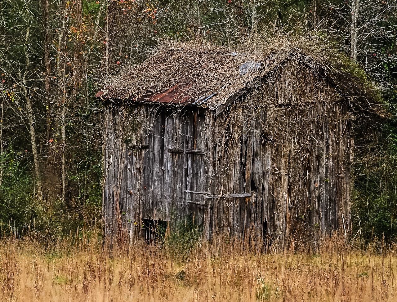 Abandoned shed on field