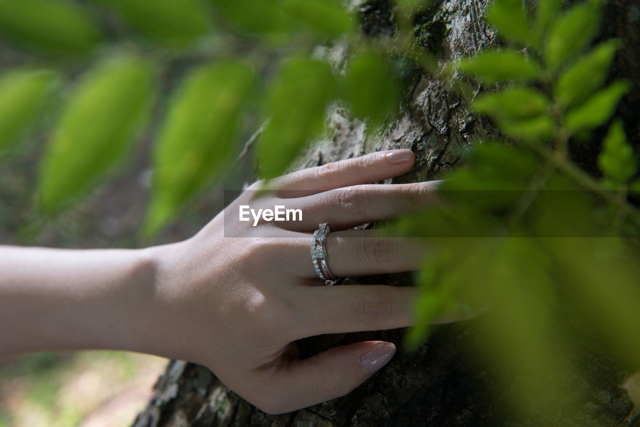 Close-up of woman hand on tree trunk