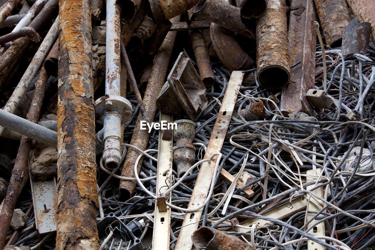 CLOSE-UP OF LOGS IN FOREST