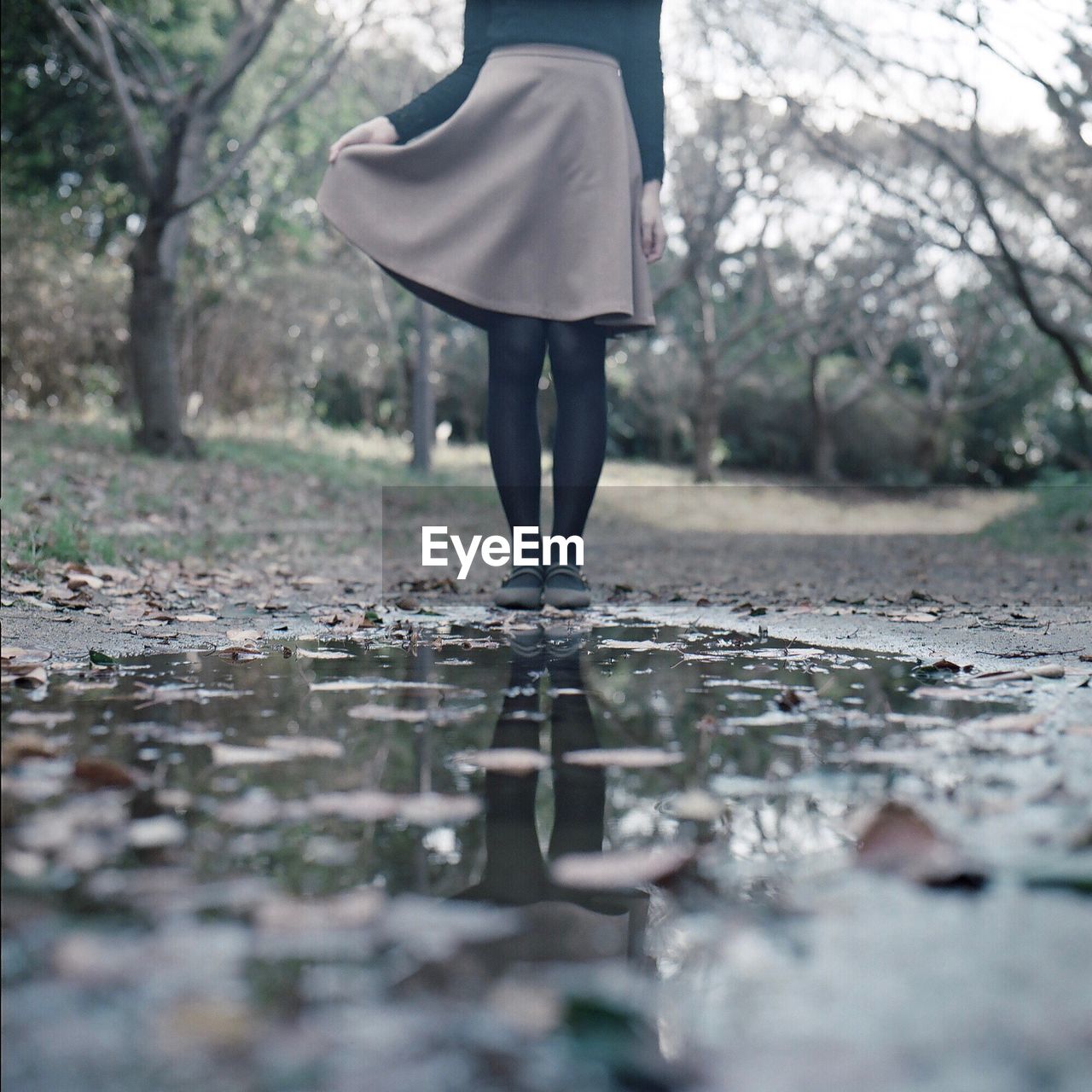 Low section of woman standing in front of puddle at forest