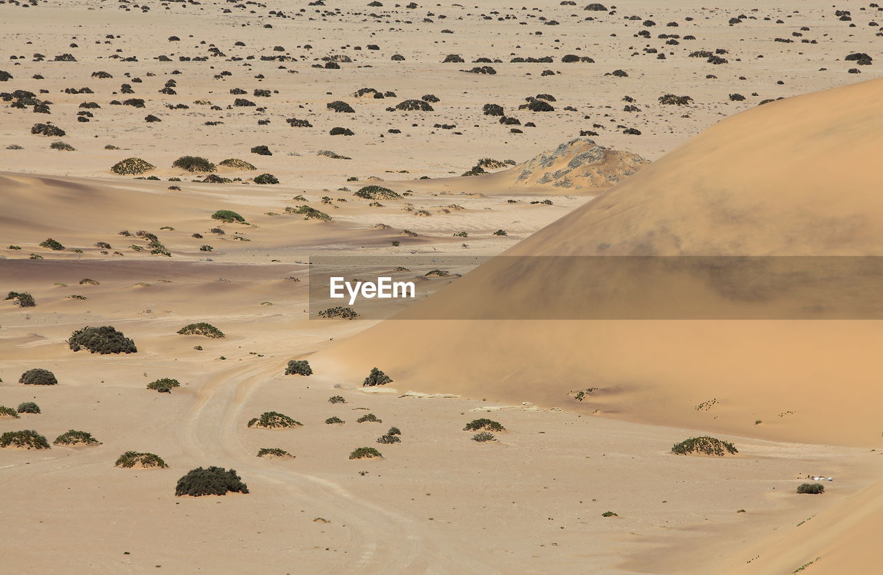 High angle view of sand dune at namib desert