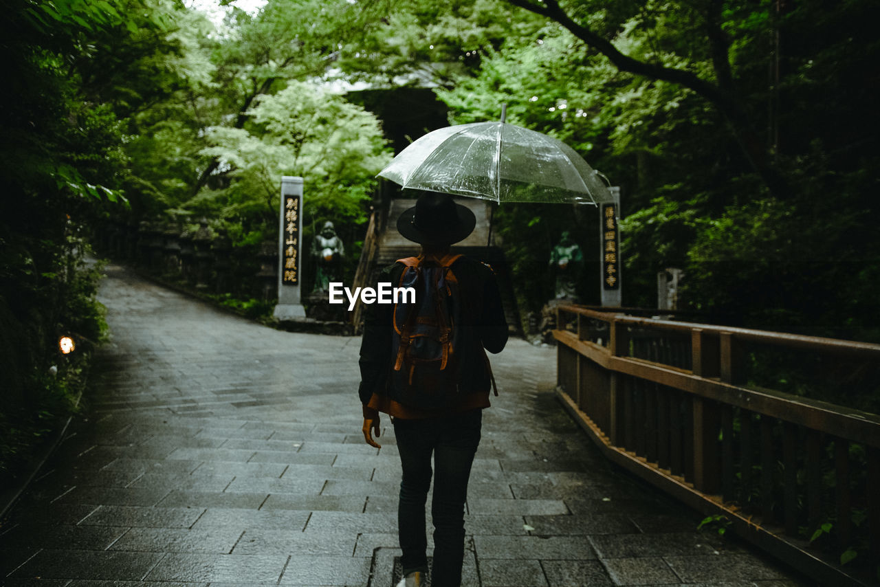 Rear view of woman with bag holding umbrella while walking on footpath by trees in forest