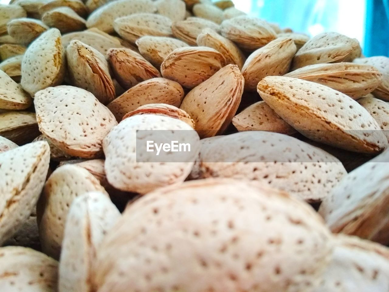 CLOSE-UP OF BREAD IN CONTAINER