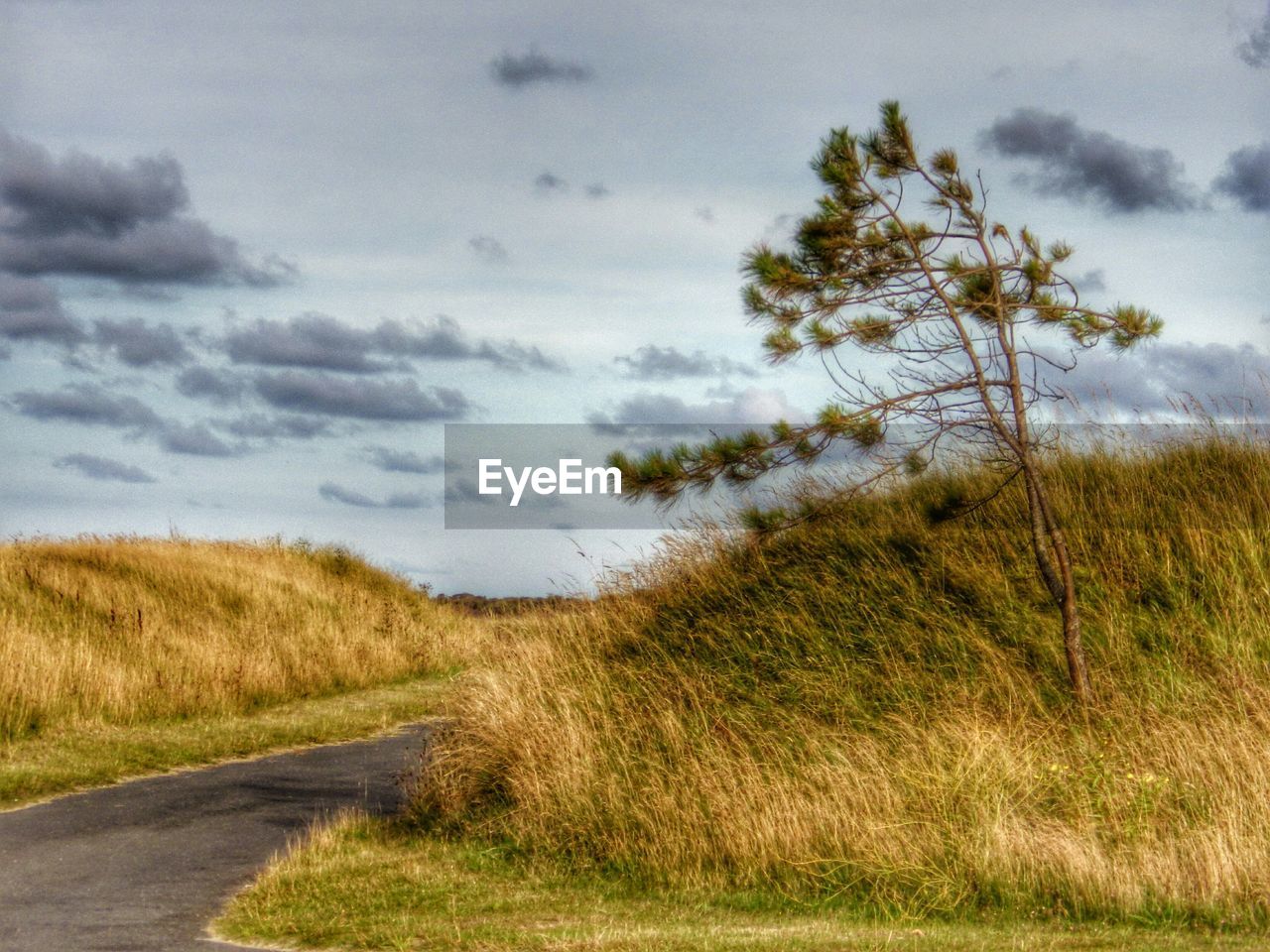 ROAD PASSING THROUGH LANDSCAPE