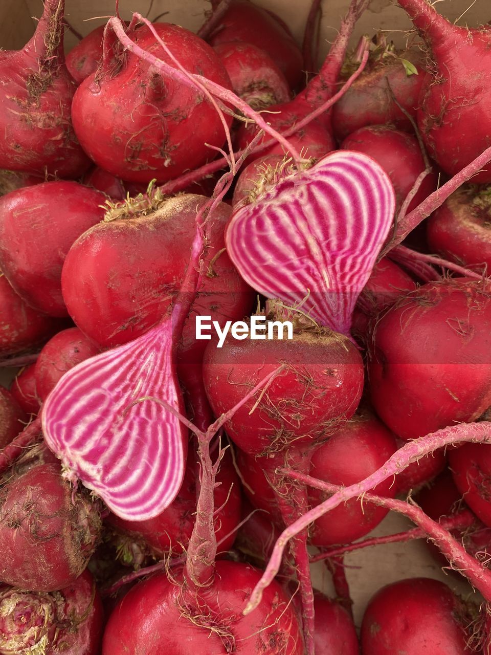 food and drink, food, produce, healthy eating, freshness, vegetable, red, wellbeing, radish, beet, no people, large group of objects, close-up, abundance, still life, plant, full frame, high angle view, root vegetable, shallot, organic, backgrounds, pink, tuber, market, for sale, day