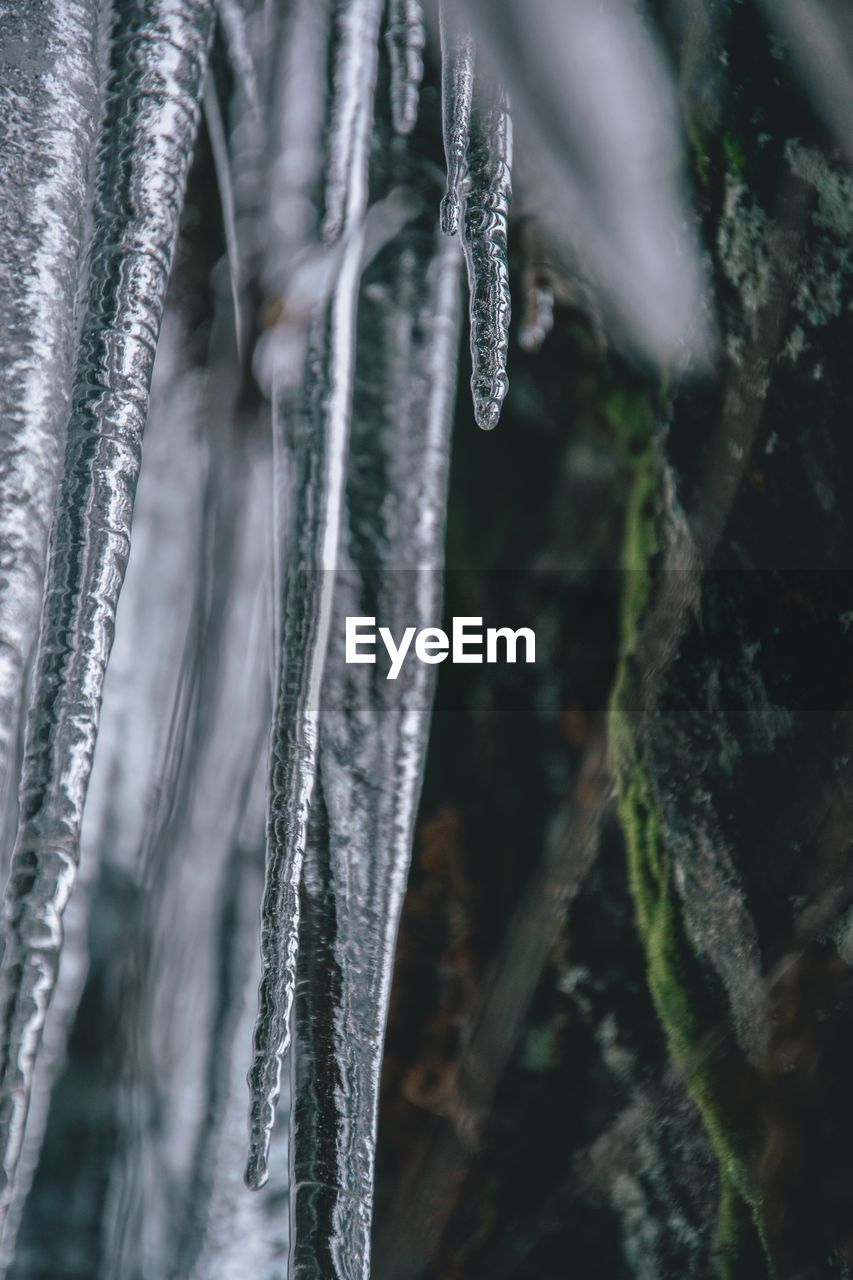 CLOSE-UP OF ICICLES ON FROZEN WATER