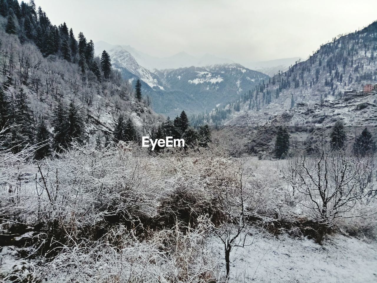 SCENIC VIEW OF MOUNTAINS IN WINTER