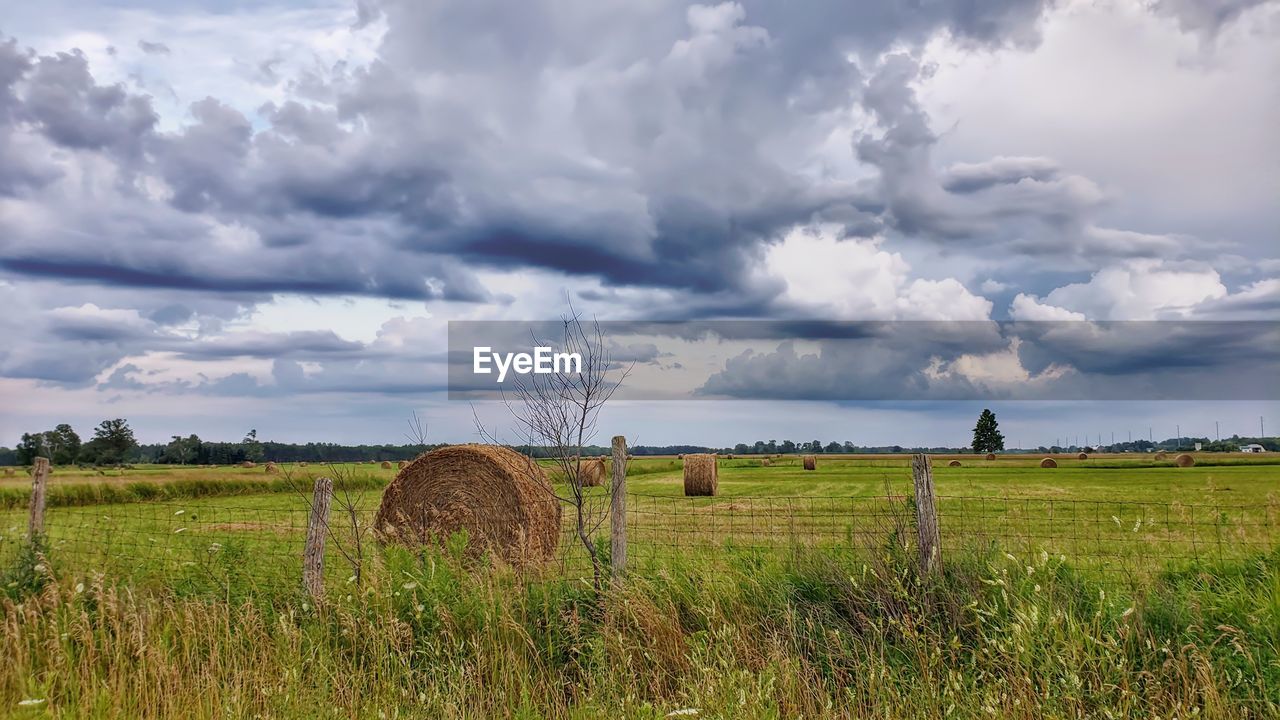 Hay bales on field against sky