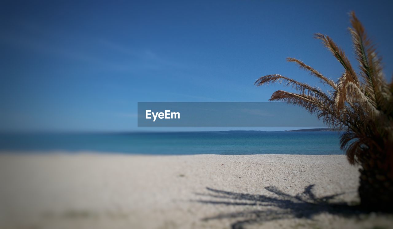 SCENIC VIEW OF BEACH AGAINST BLUE SKY