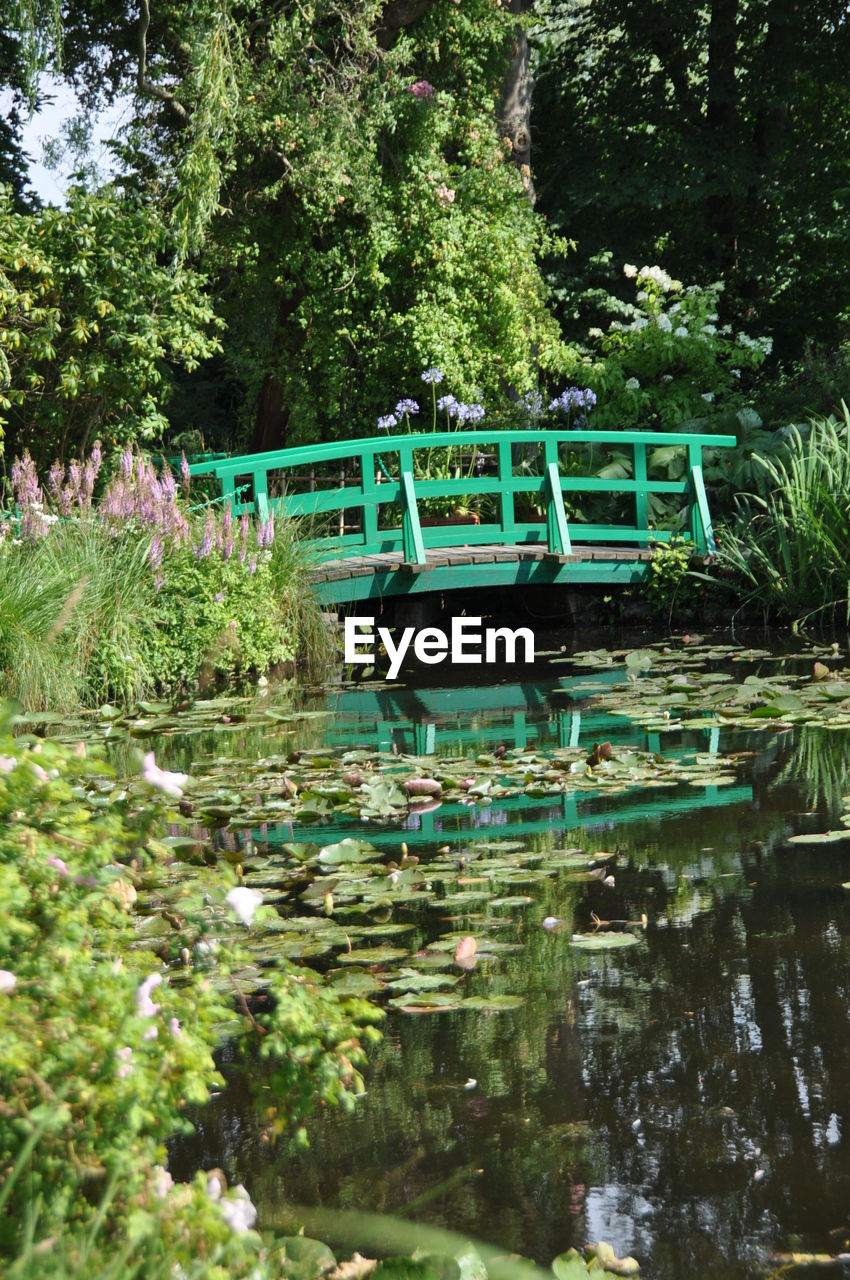 Bridge over lake against trees