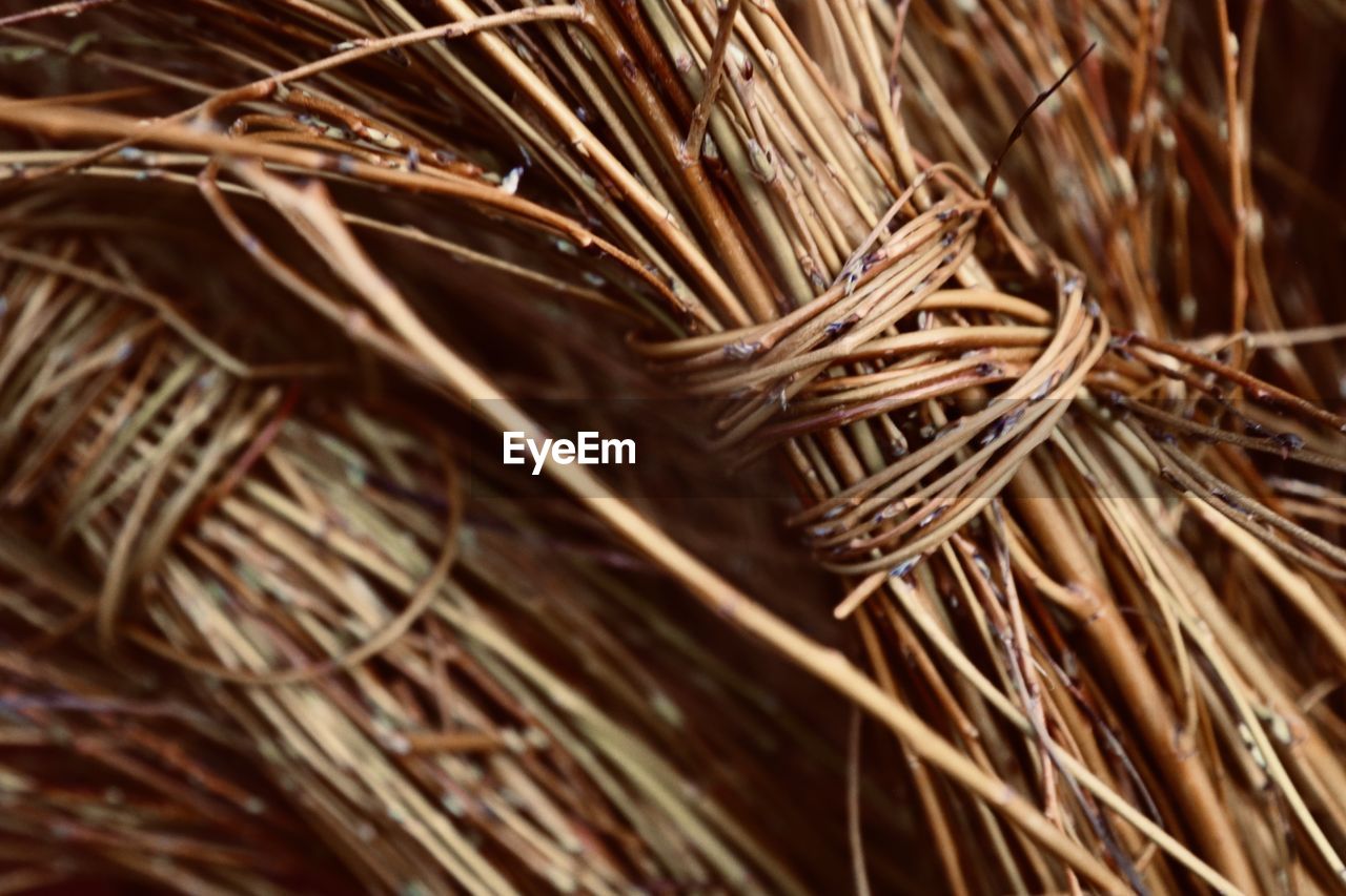 High angle view of dry branches in basket