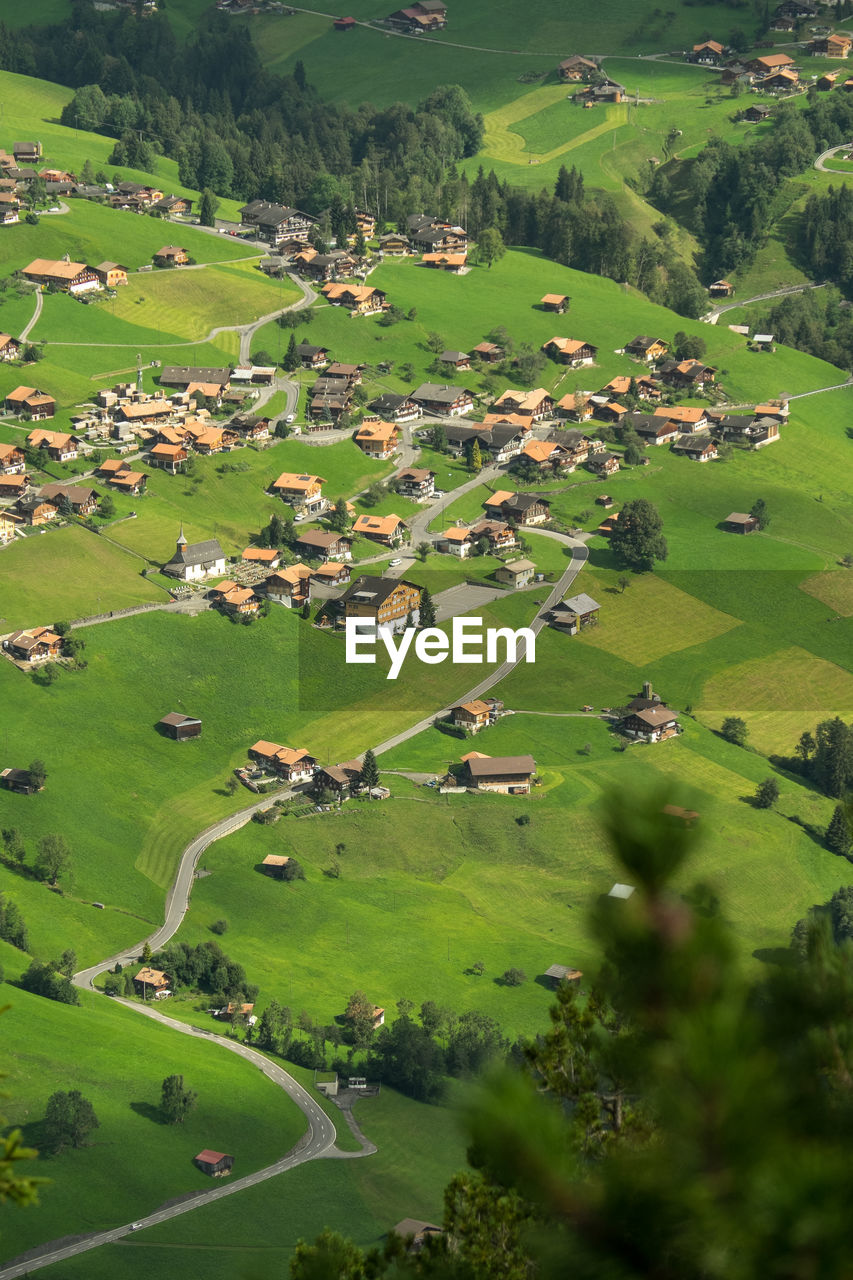 High angle view of trees on landscape