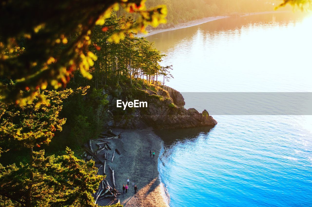 High angle view of trees by lake