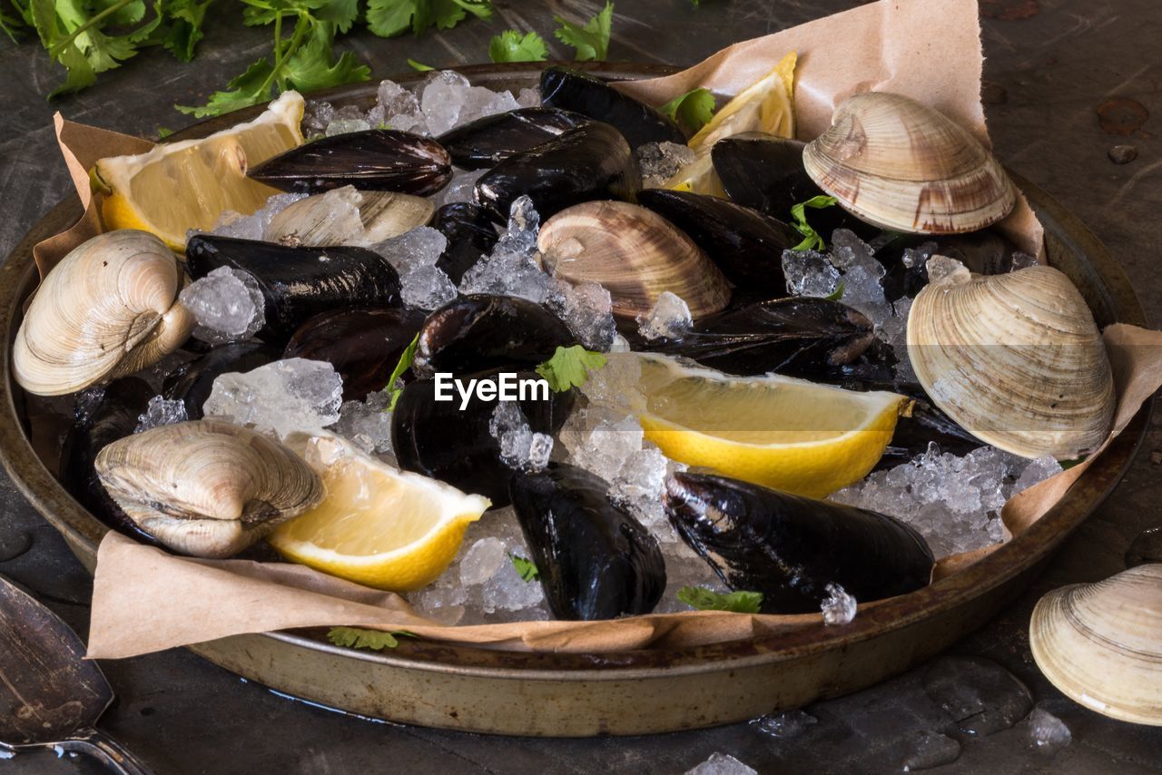 High angle view of mussels and clams served on table