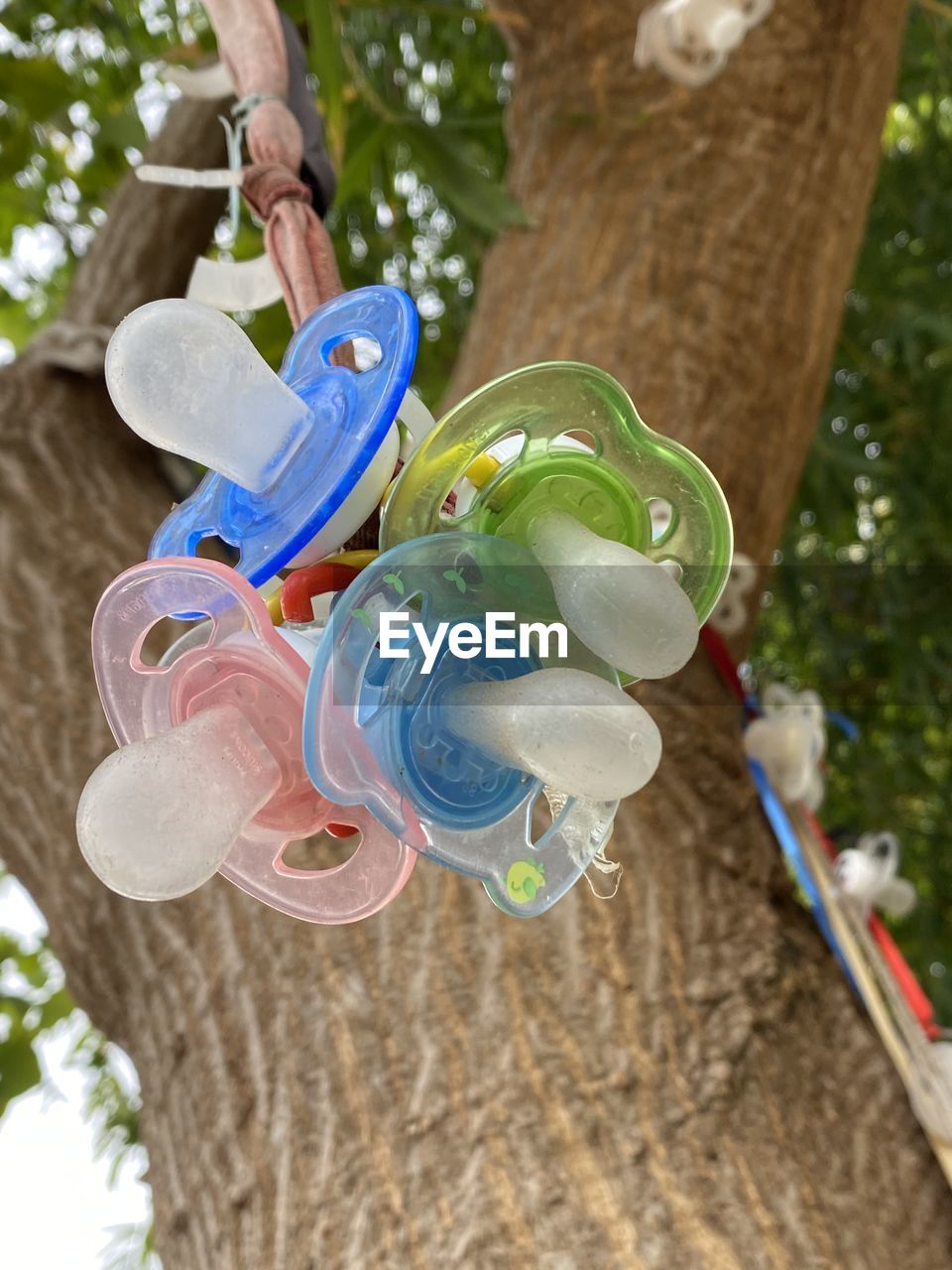 LOW ANGLE VIEW OF TOY ON TREE TRUNK