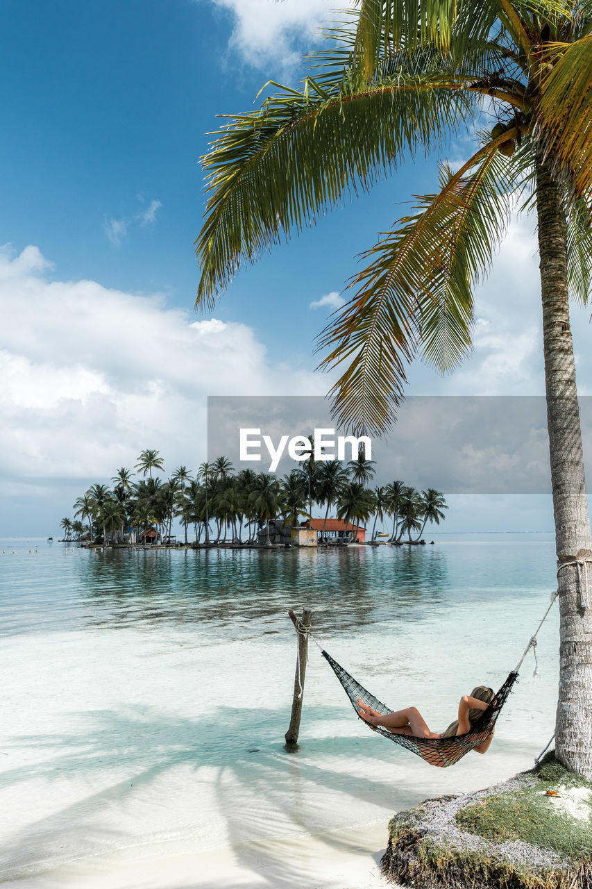 palm tree on beach against sky