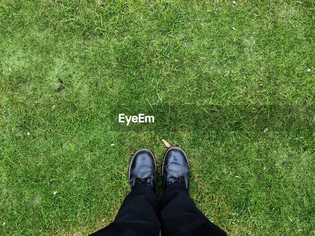 Two black shoes and legs on a grass surface - top view concept