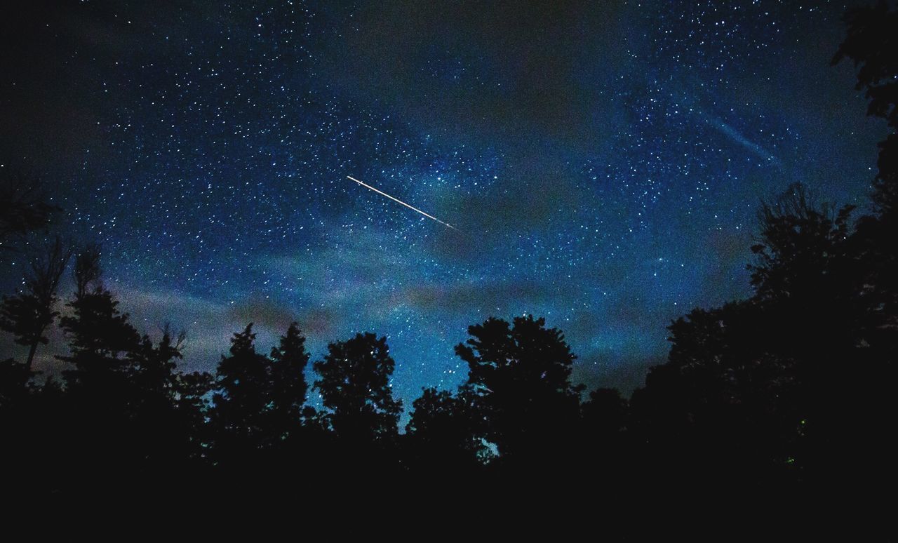 Low angle view of silhouette trees against star field at night