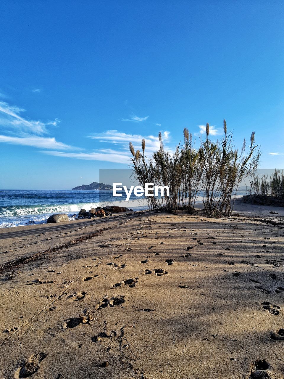 Scenic view of beach against blue sky