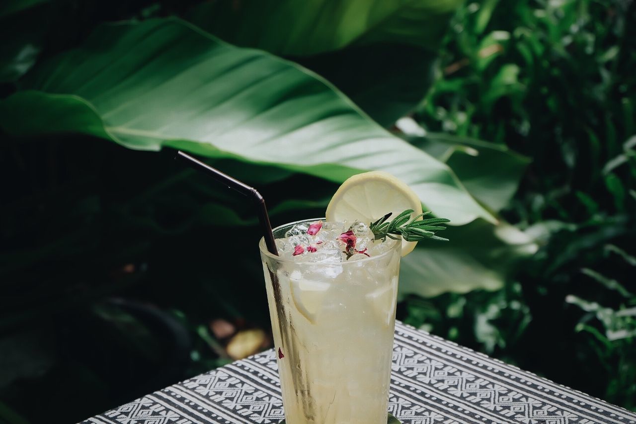 Close-up of cold drink served outdoors