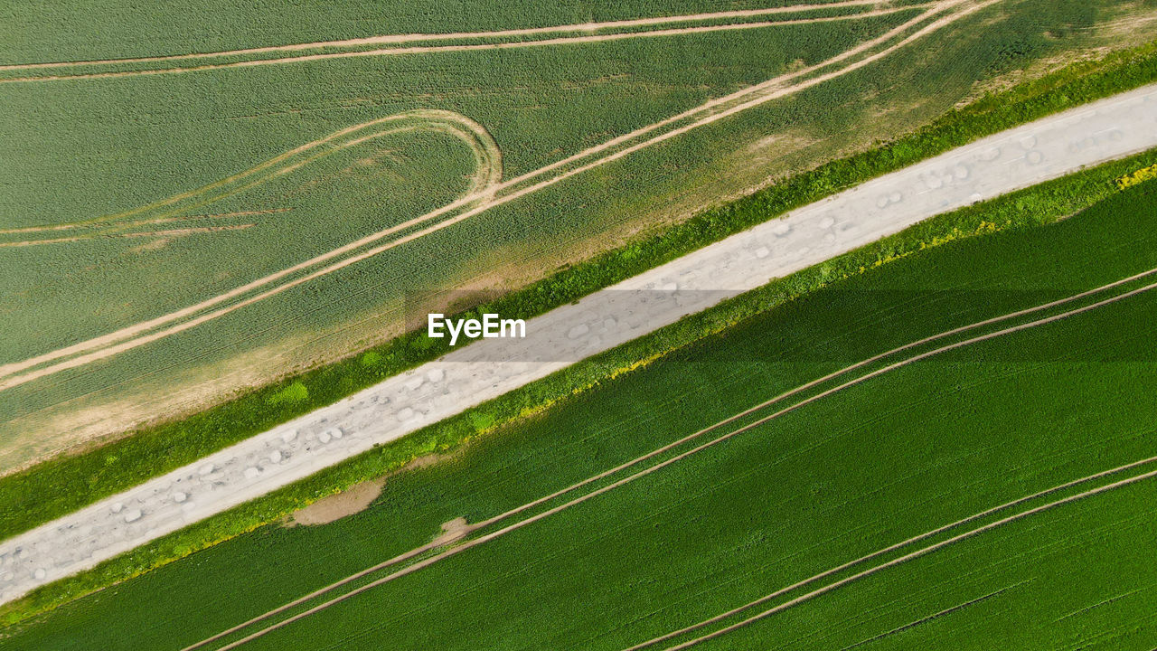 Scenic view of agricultural field