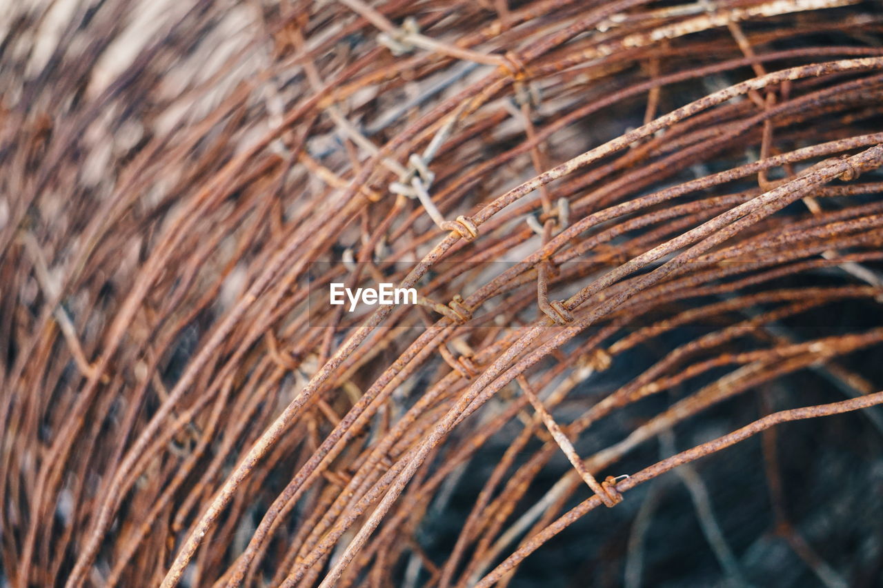 Close-up of barbed wire