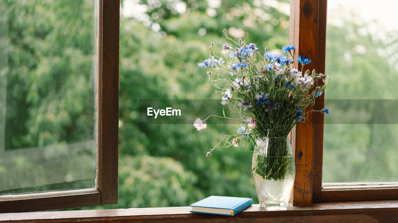 A bouquet of cornflowers and a book on the windowsill in a cozy home.