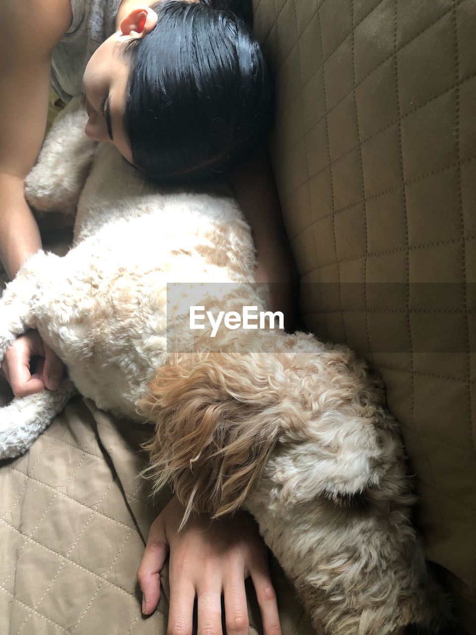 High angle view of young woman with dog sleeping on bed at home