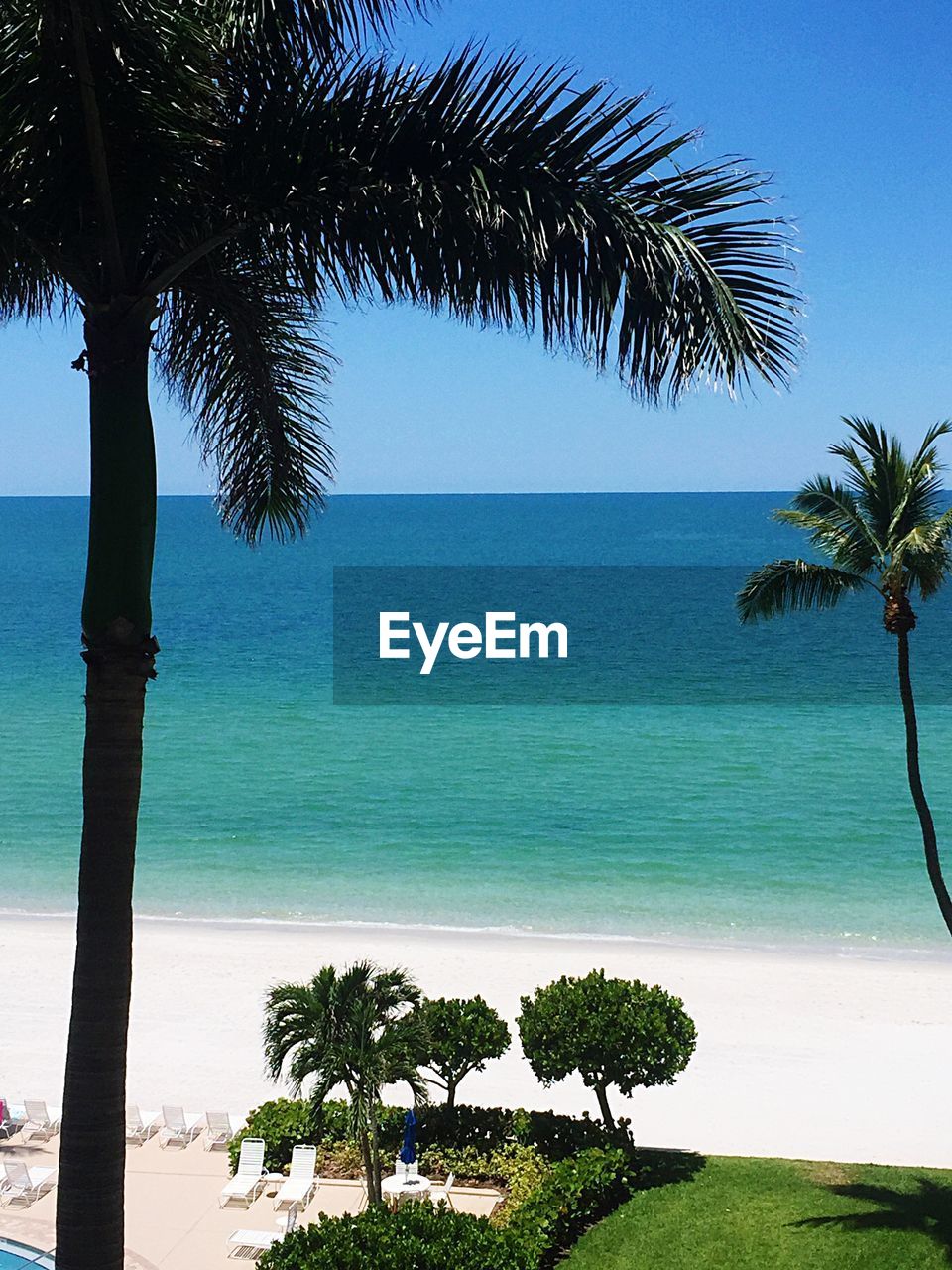 Palm trees on beach