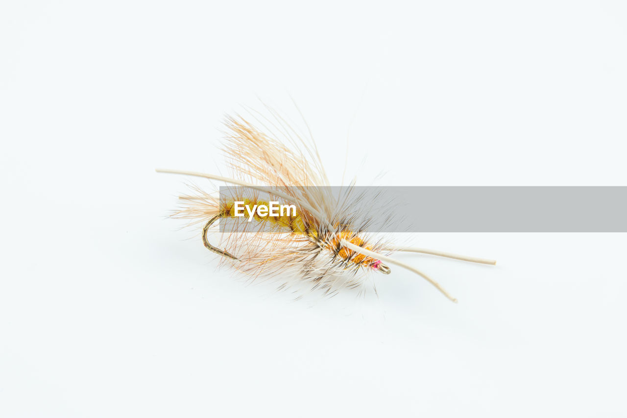 High angle view of fishing tackle over white background