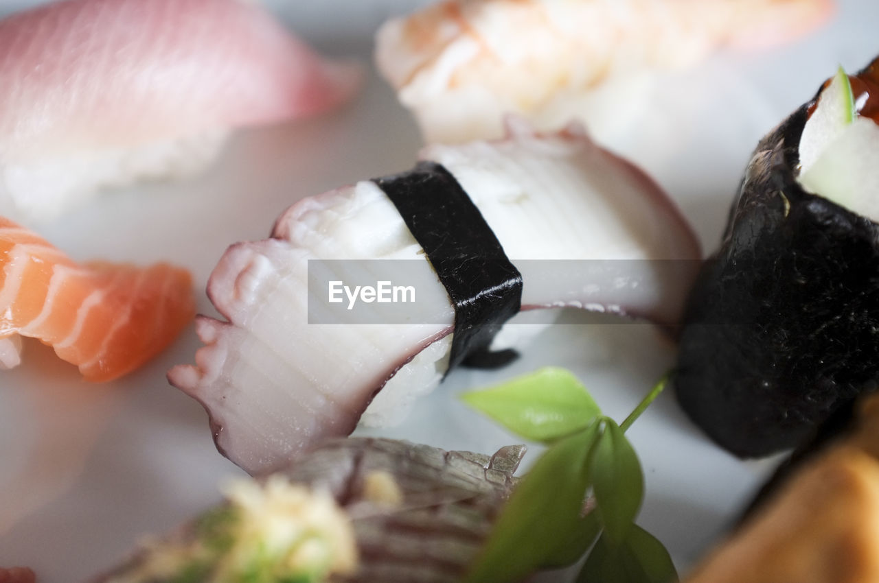 Close-up of sushi in plate