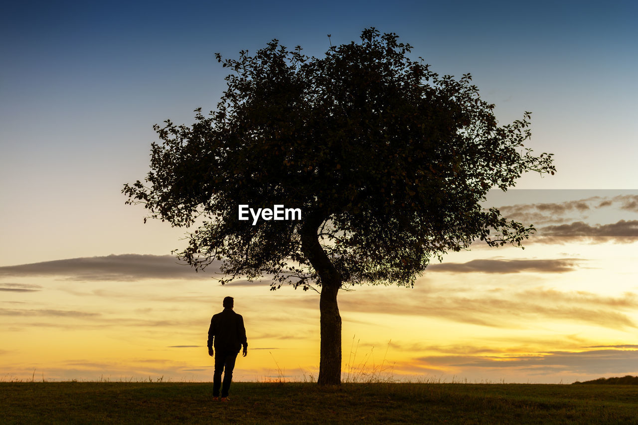 REAR VIEW OF SILHOUETTE MAN STANDING ON FIELD AGAINST SKY AT SUNSET