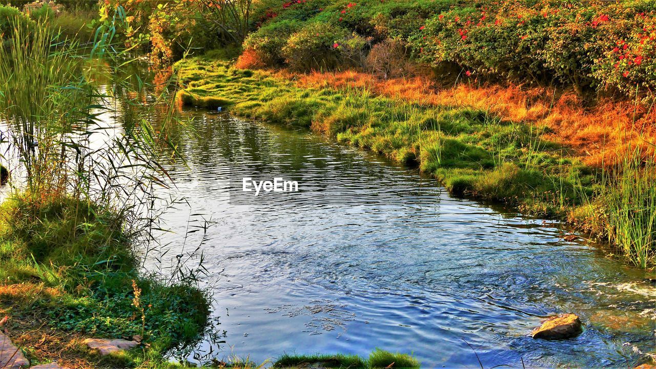 SCENIC VIEW OF LAKE