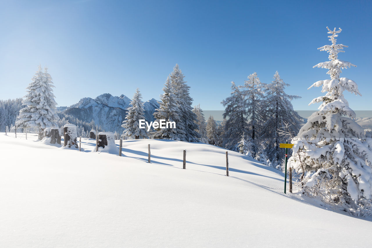 Winter in the mountains. picturesque winter scene in the austrian alps