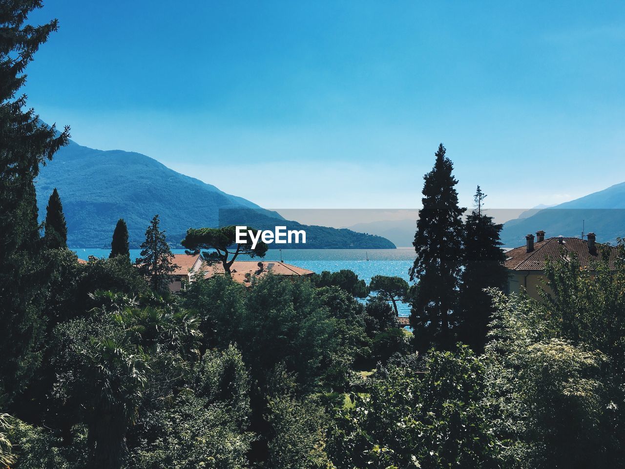 mountain, nature, tree, architecture, blue, sky, built structure, beauty in nature, mountain range, landscape, outdoors, scenics, day, tranquility, town, building exterior, no people, growth, blue sky