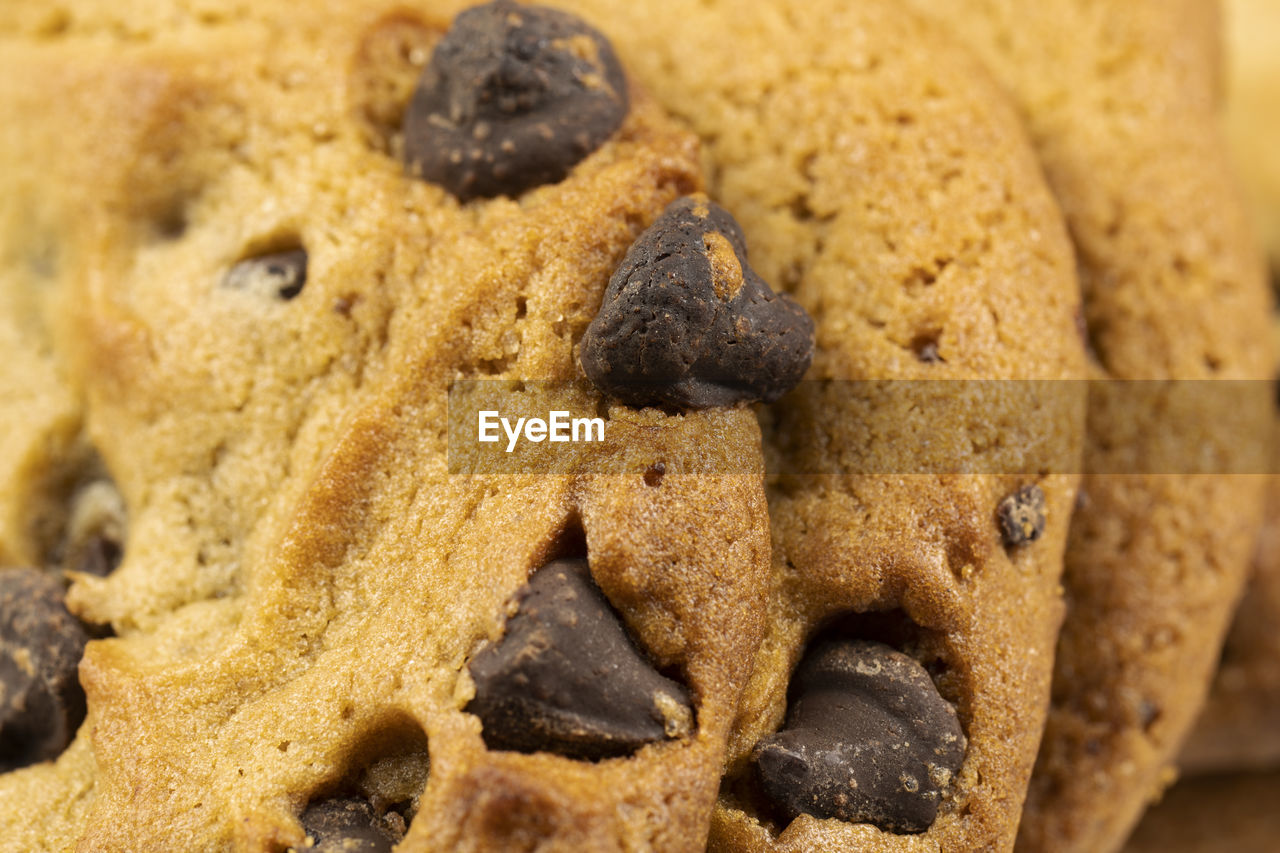 Freshly baked chocolate chip cookies close-up
