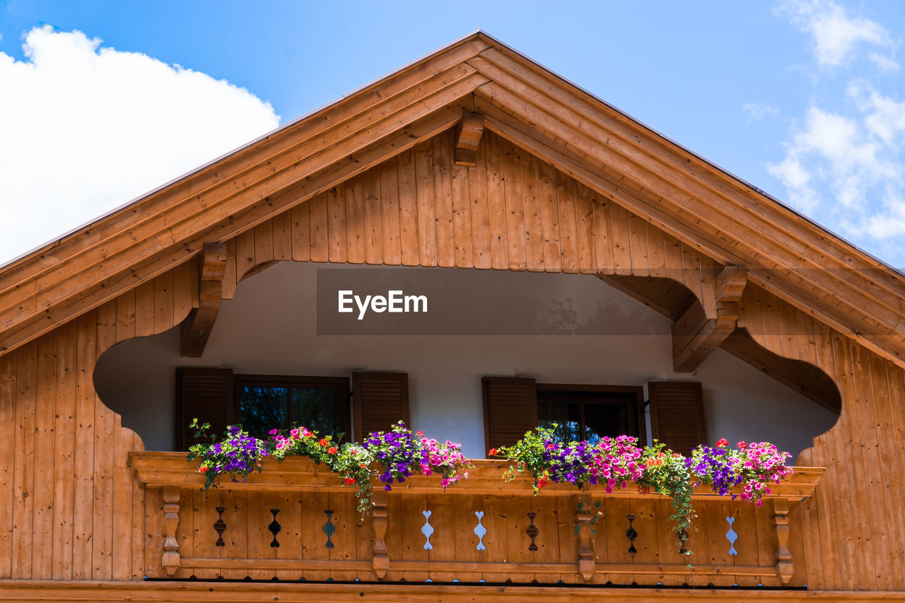 Low angle view of potted plants against building