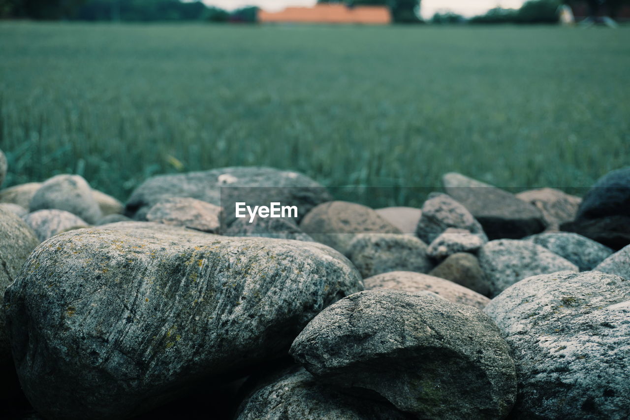 Close-up of stones 