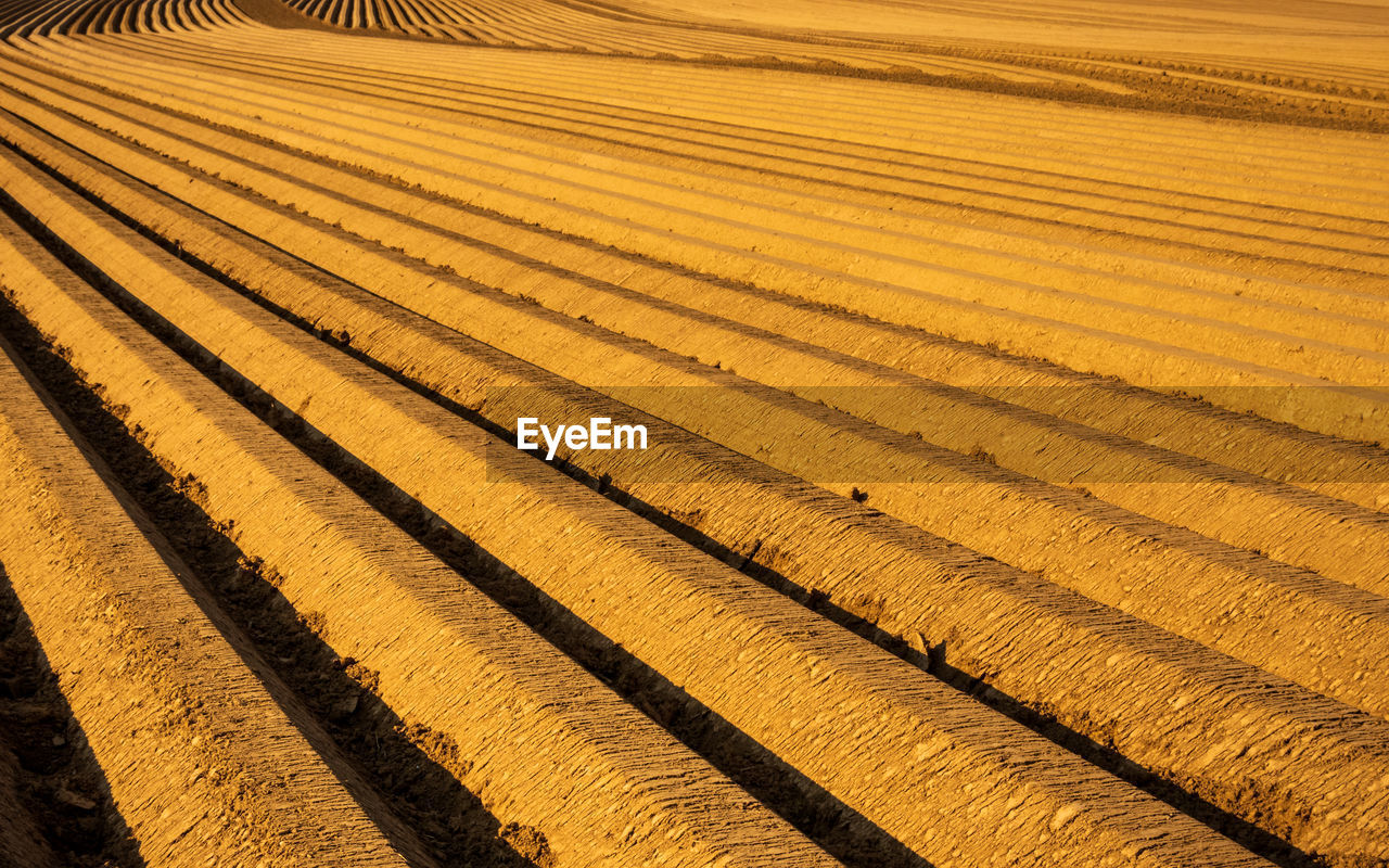 High angle view of field