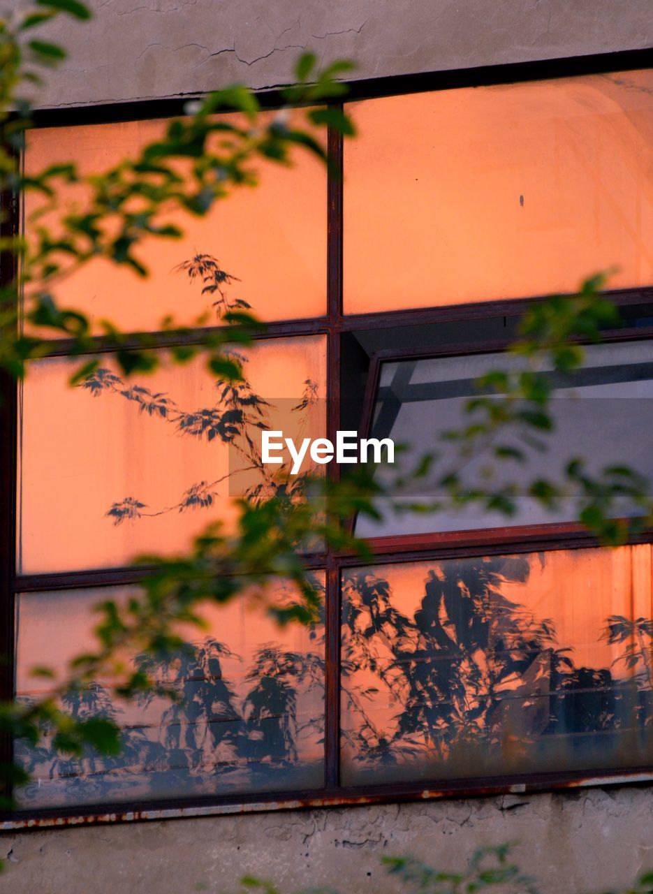 CLOSE-UP OF ORANGE WINDOW ON WALL