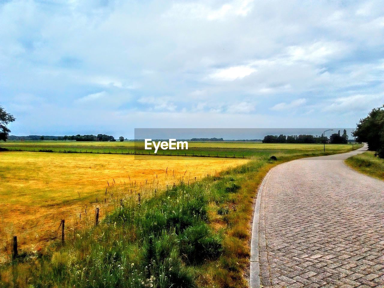 EMPTY ROAD ALONG AGRICULTURAL FIELD