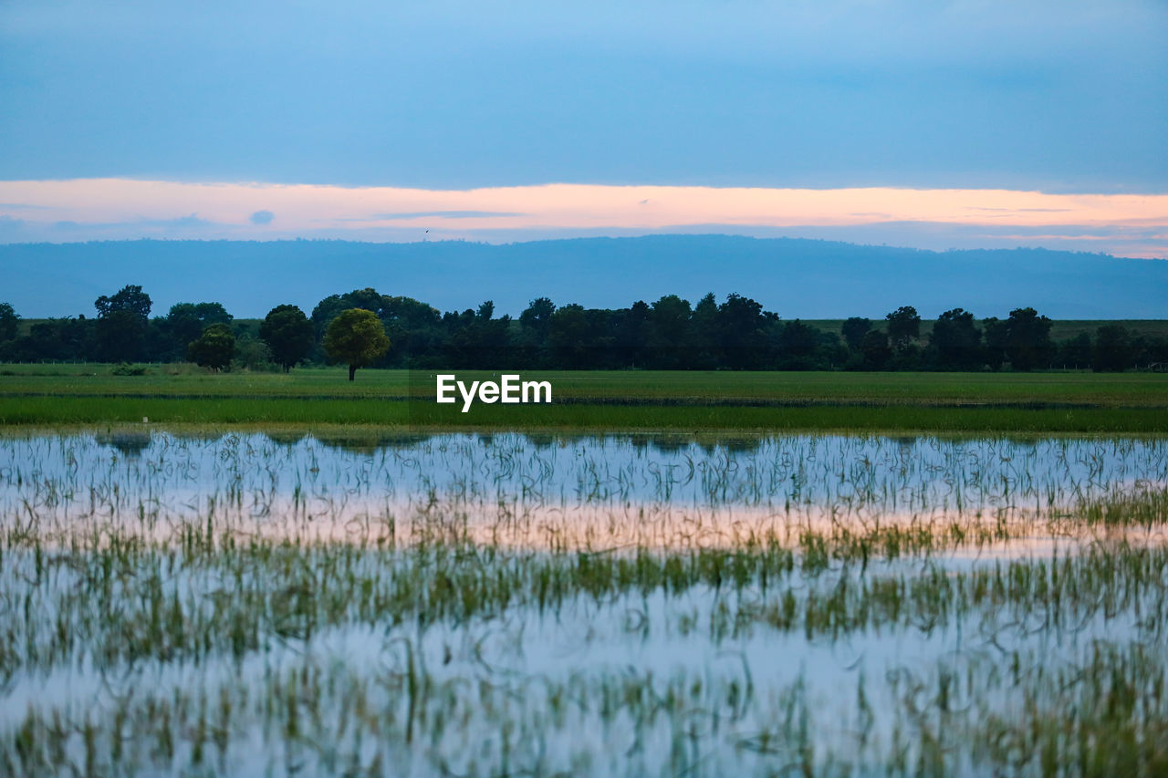 Scenic view of lake against sky