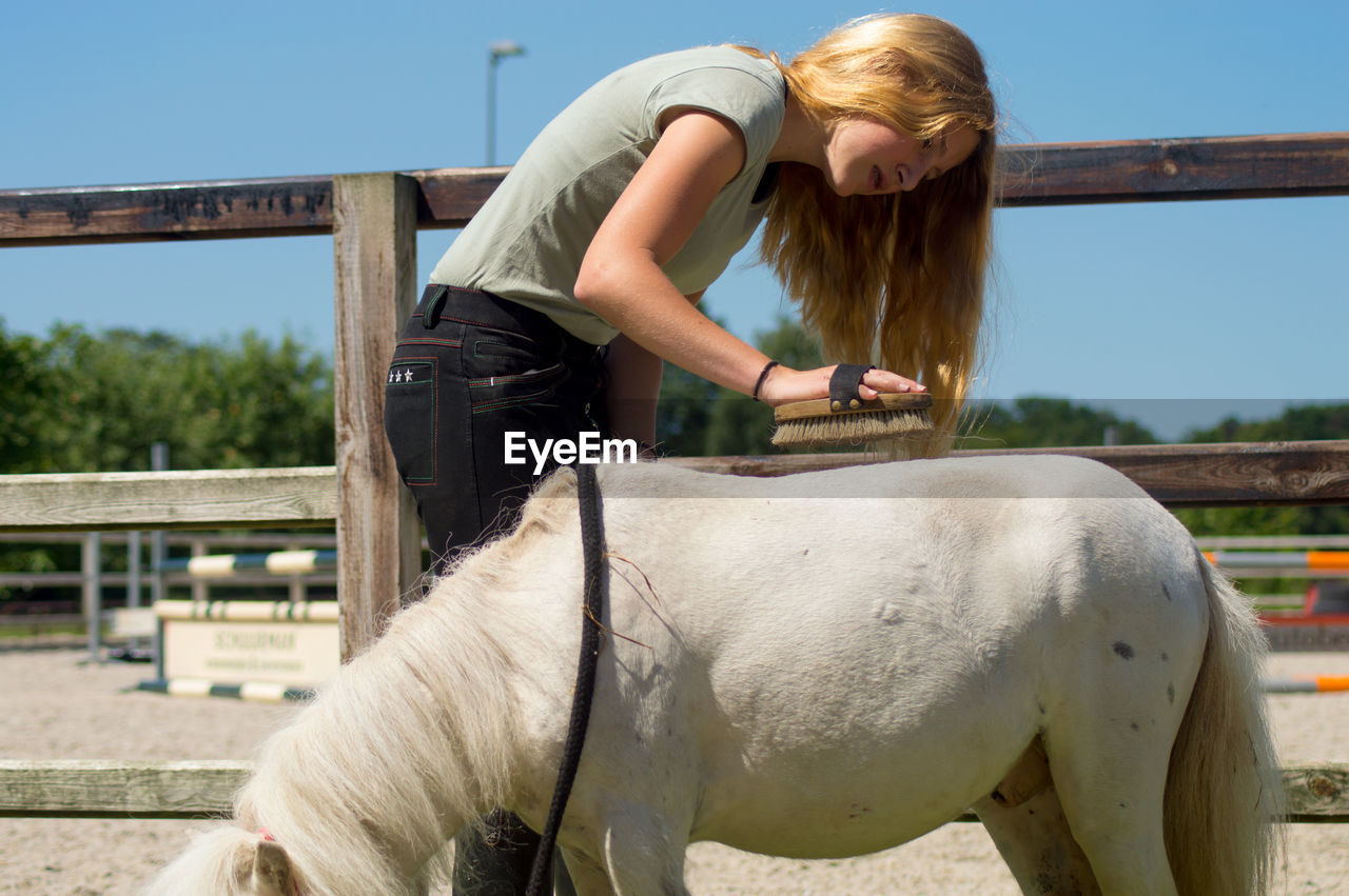 Blond teenage girl grooming pony