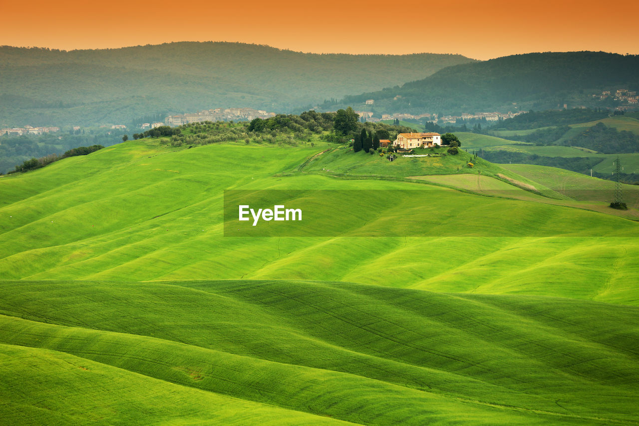 SCENIC VIEW OF AGRICULTURAL FIELD
