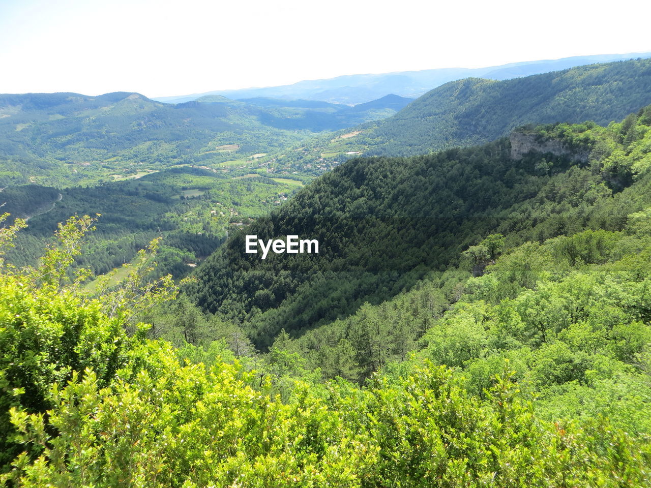 HIGH ANGLE VIEW OF TREES AND MOUNTAINS AGAINST SKY