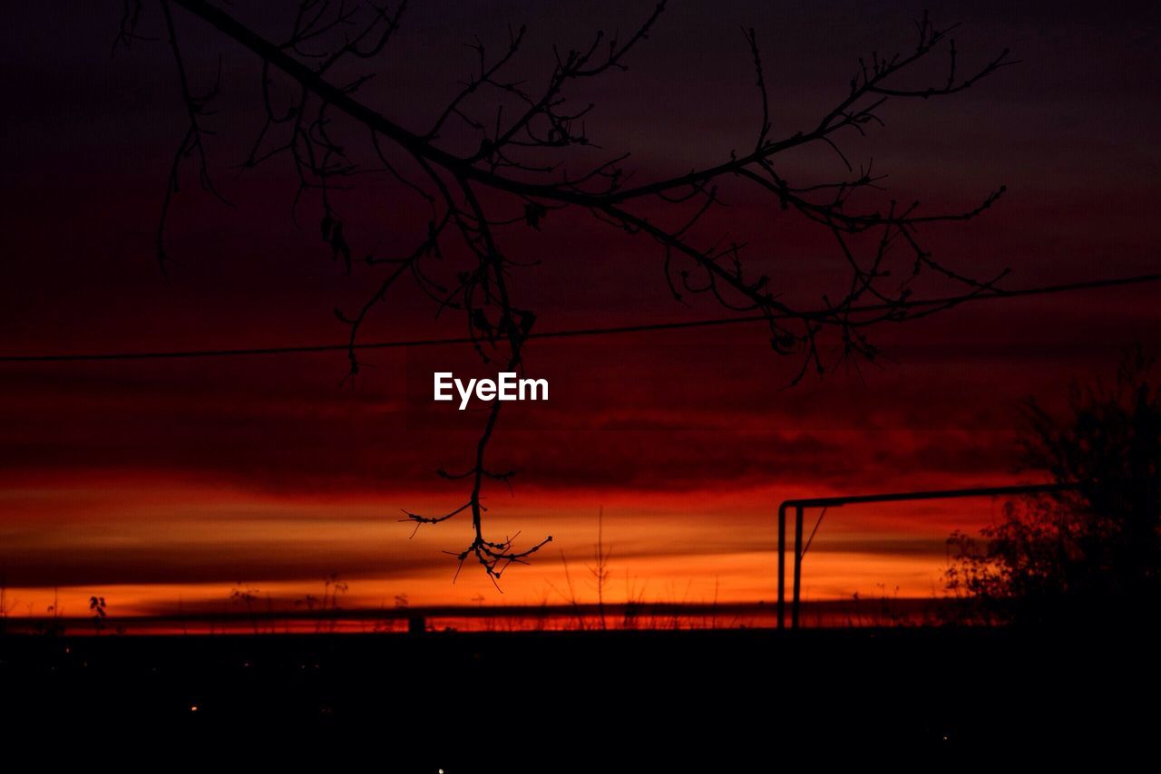 SILHOUETTE BARE TREE AGAINST SKY DURING SUNSET